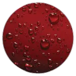 CHỐNG THẤM VƯỢI TRỘI